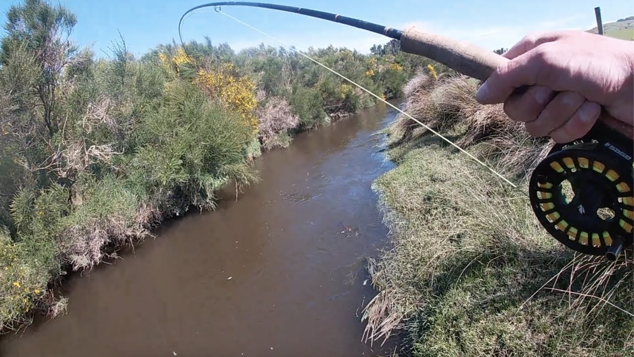 I Entered The Oldest Fly Fishing Competition In The SOUTHERN HEMISPHERE  (I Got Second Place)