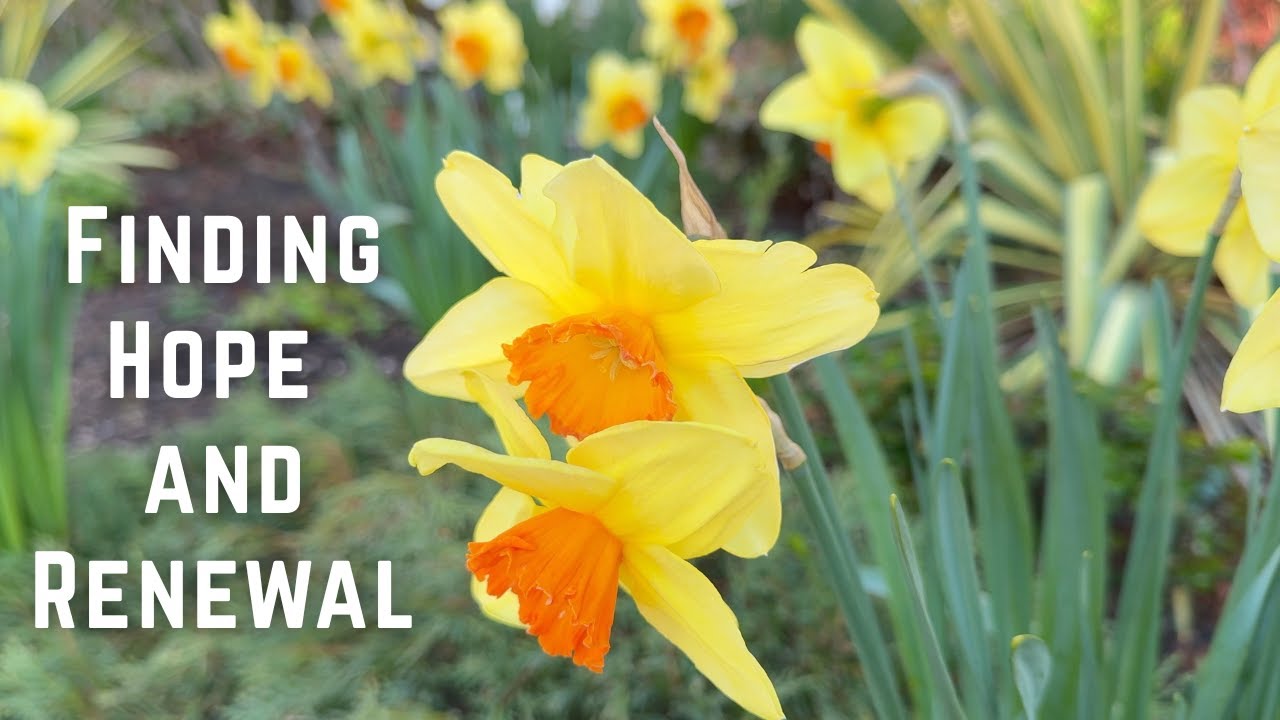 April Garden Tour: Finding Hope and Renewal in Spring