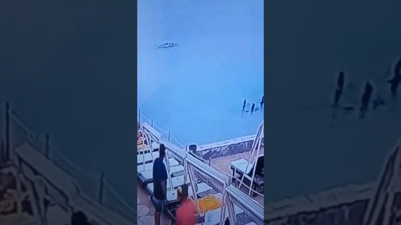 Egypt shark attack 2023 new video #trending #viral #shark