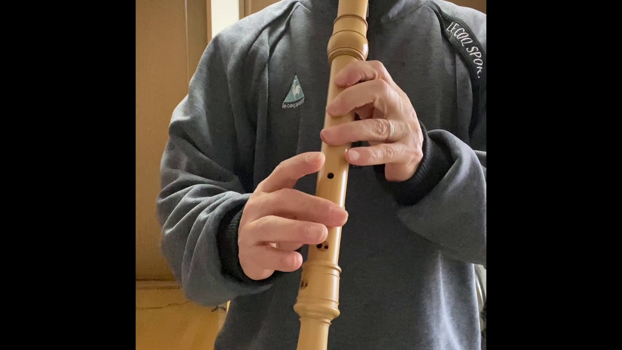 【初投稿】【アルトリコーダー】もののけ姫