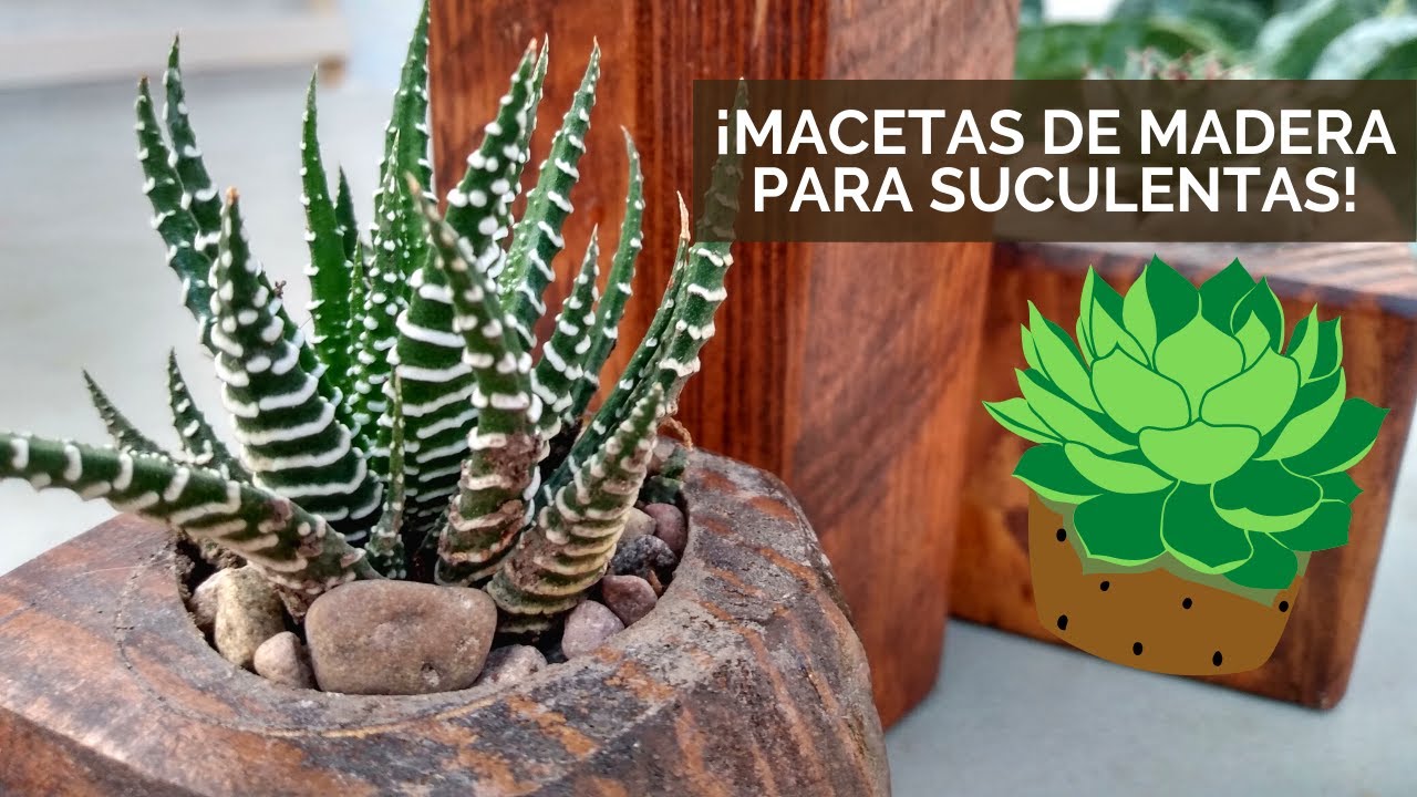 🌵Macetas con Madera Reciclada para Suculentas! 🛠️| Alex Maniass