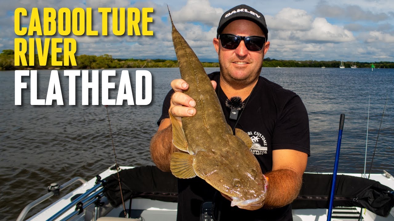 Caboolture River Flathead on Soft Plastics