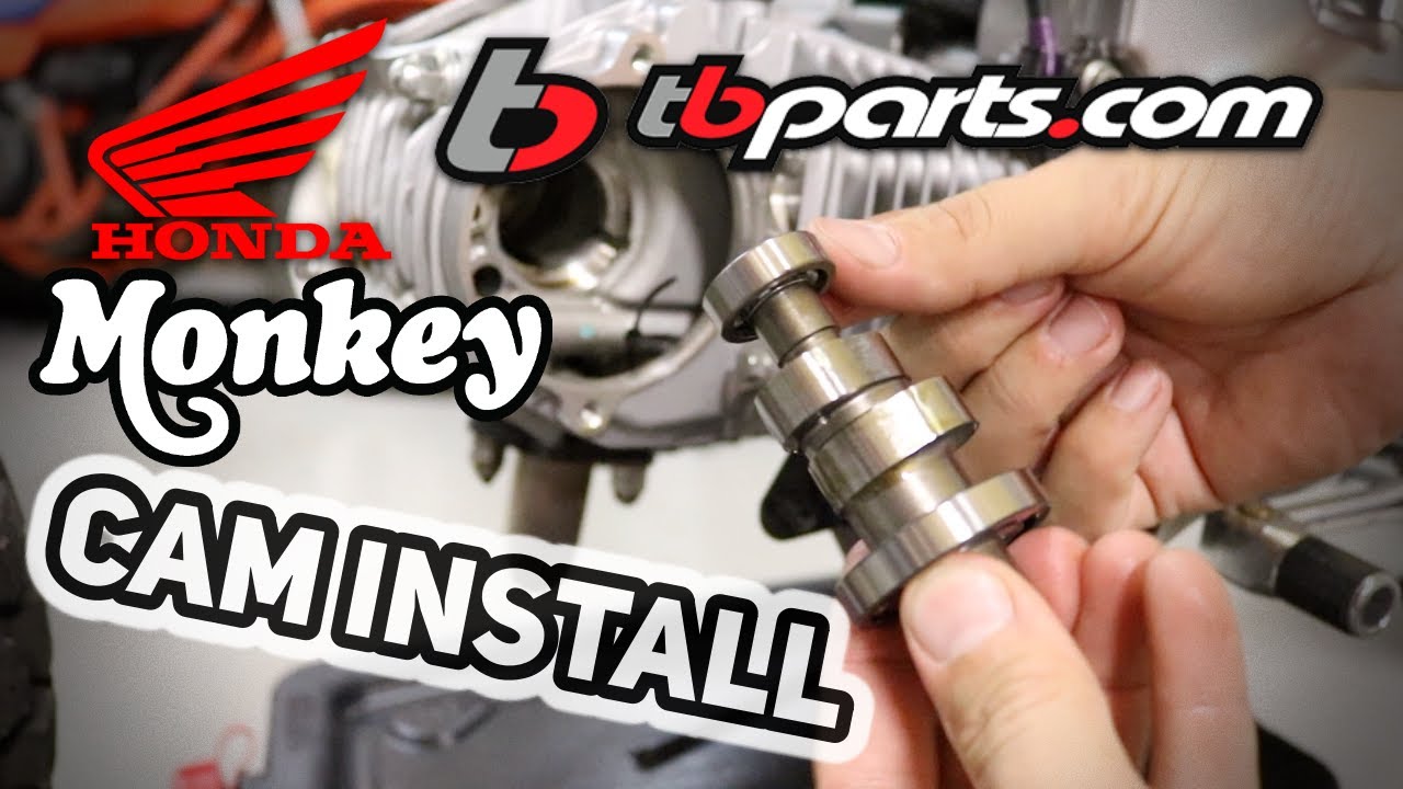 Сборка Honda Monkey 2019: обзор и установка кулачкового механизма TB Parts