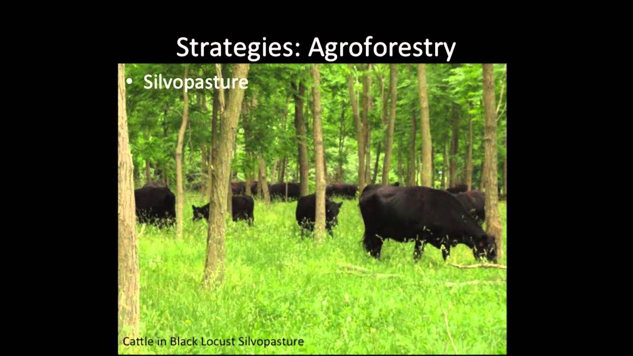 Jono Neiger: The Carbon Farming Panorama
