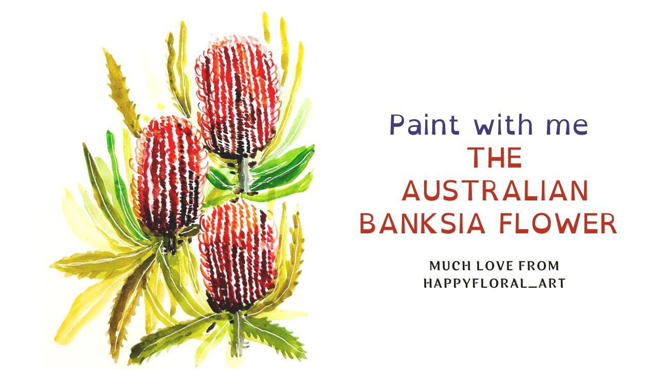 Australian flower- Banksia. Watercolor Banksia flowers | How to paint watercolor Banksia flowers.