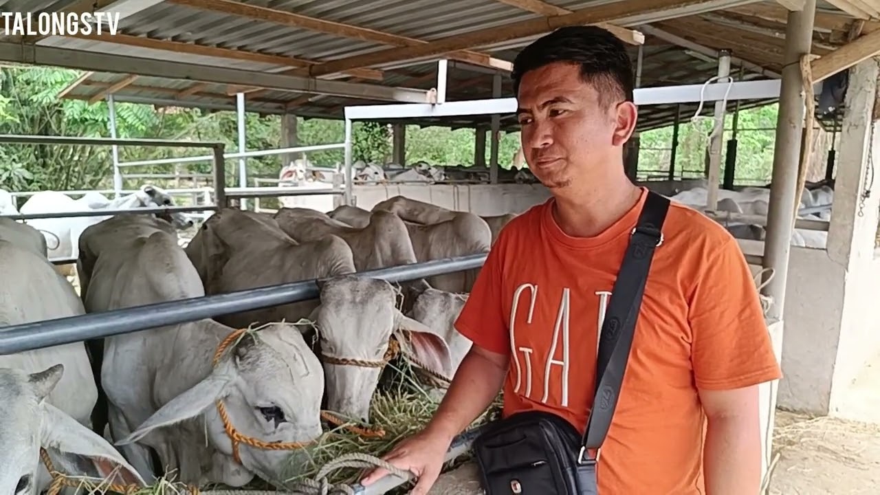Cattle Dealer Visit Boss JR Comia!