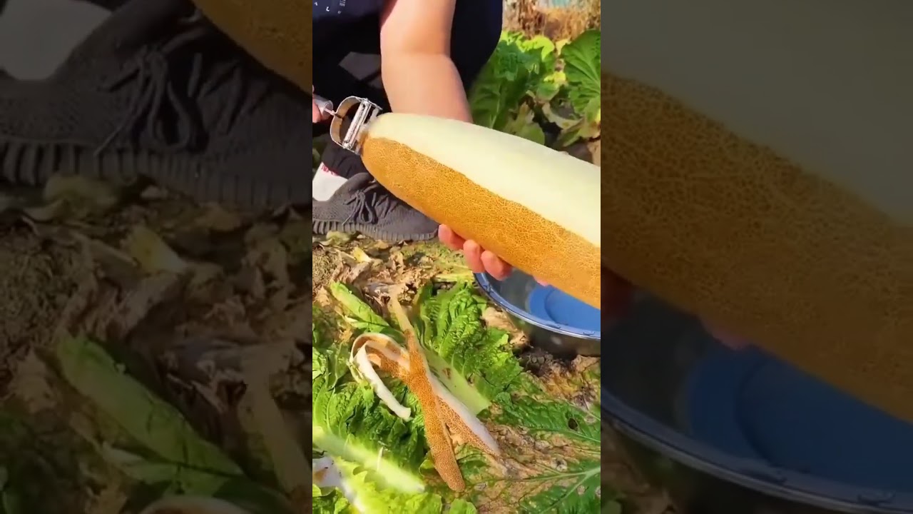 new tools#youtubeshorts #youtube #ytshorts #viralvideo #viralshorts #viral