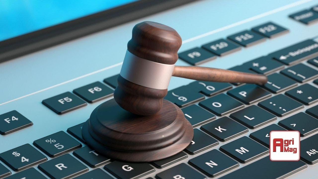 Understanding Agricultural Timed Online Auctions