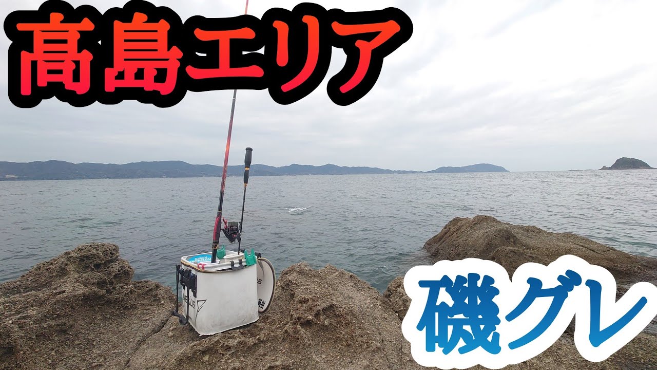 春の磯グレ❗️高島エリア❗️マジカグレ❗