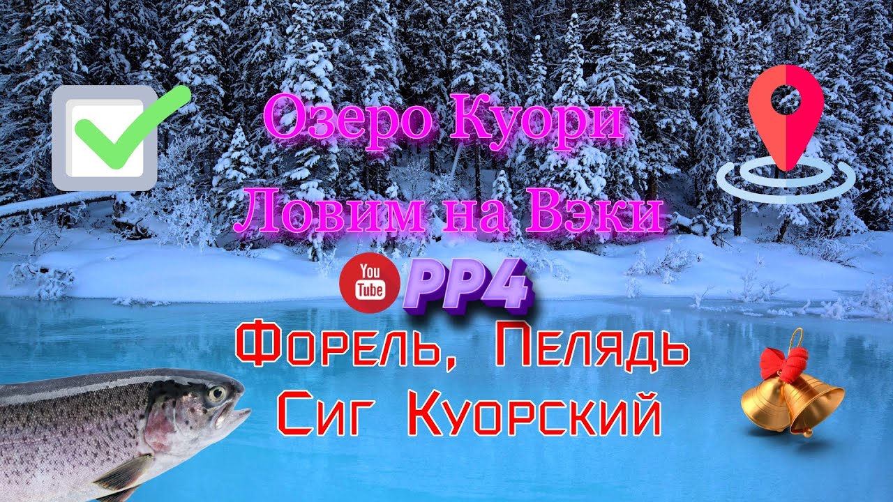 Озеро Куори • Форель • Пелядь • Сиг •  РР4 • Вэки • Русская рыбалка 4 • 25.01.2024