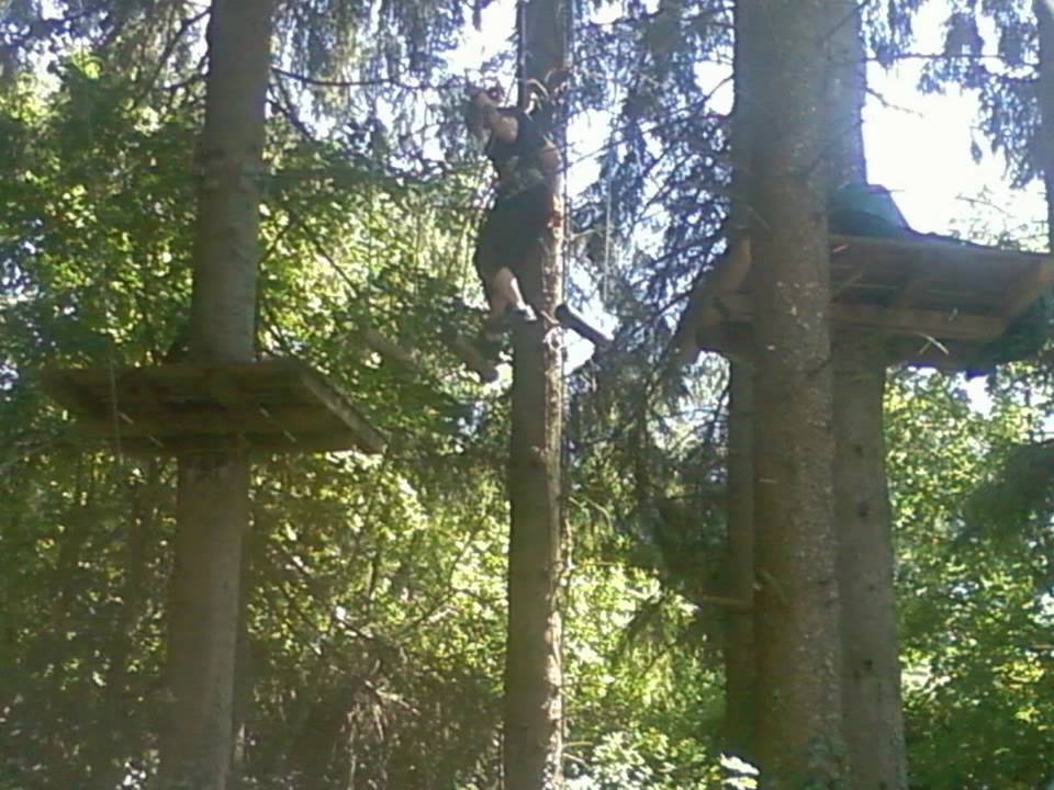 Accro-branches