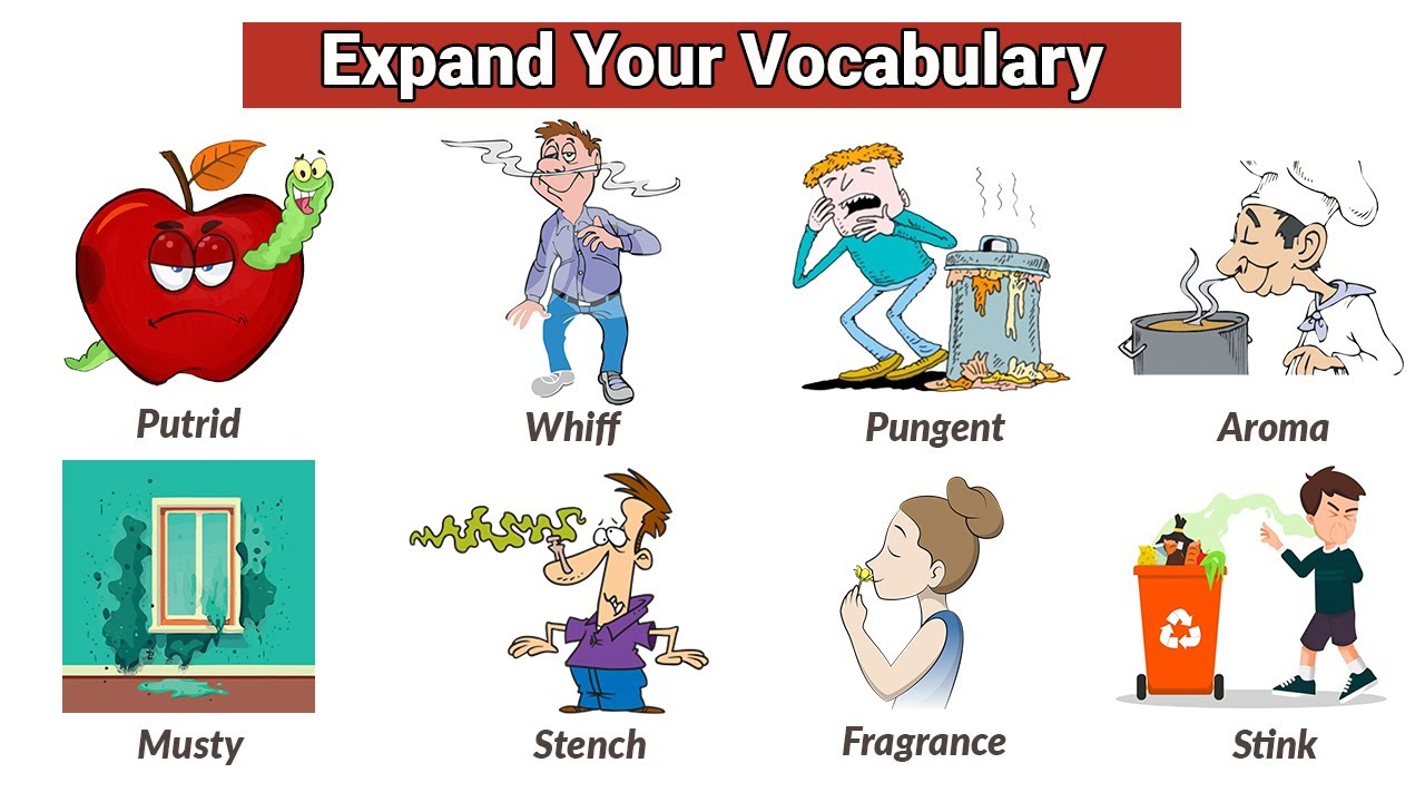 Expand Your English Vocabulary | Smell Related Words | Daily Use English Words
