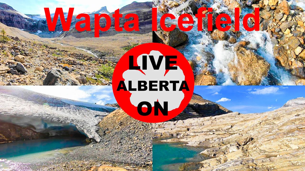 BREATHTAKING TREK to the Wapta Icefield Glaciers #canadianrockies