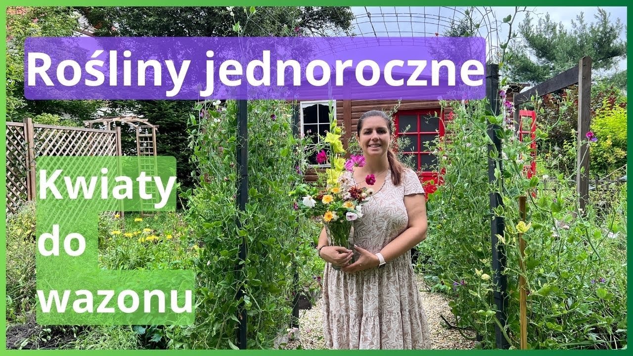 Vlog: Ogródek kwiatów ciętych. #kwiaty #bukiety