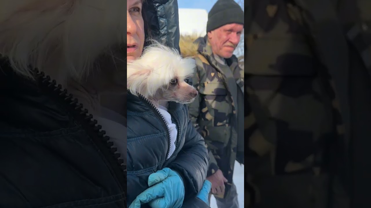 Маленькое счастье ищет дом 🏠