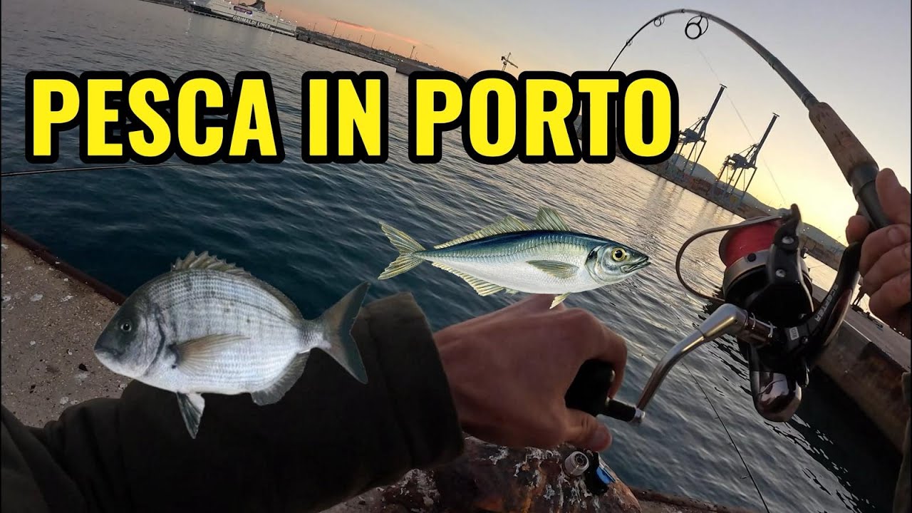 A PESCA SULL'ANTIMURALE DI CIVITAVECCHIA