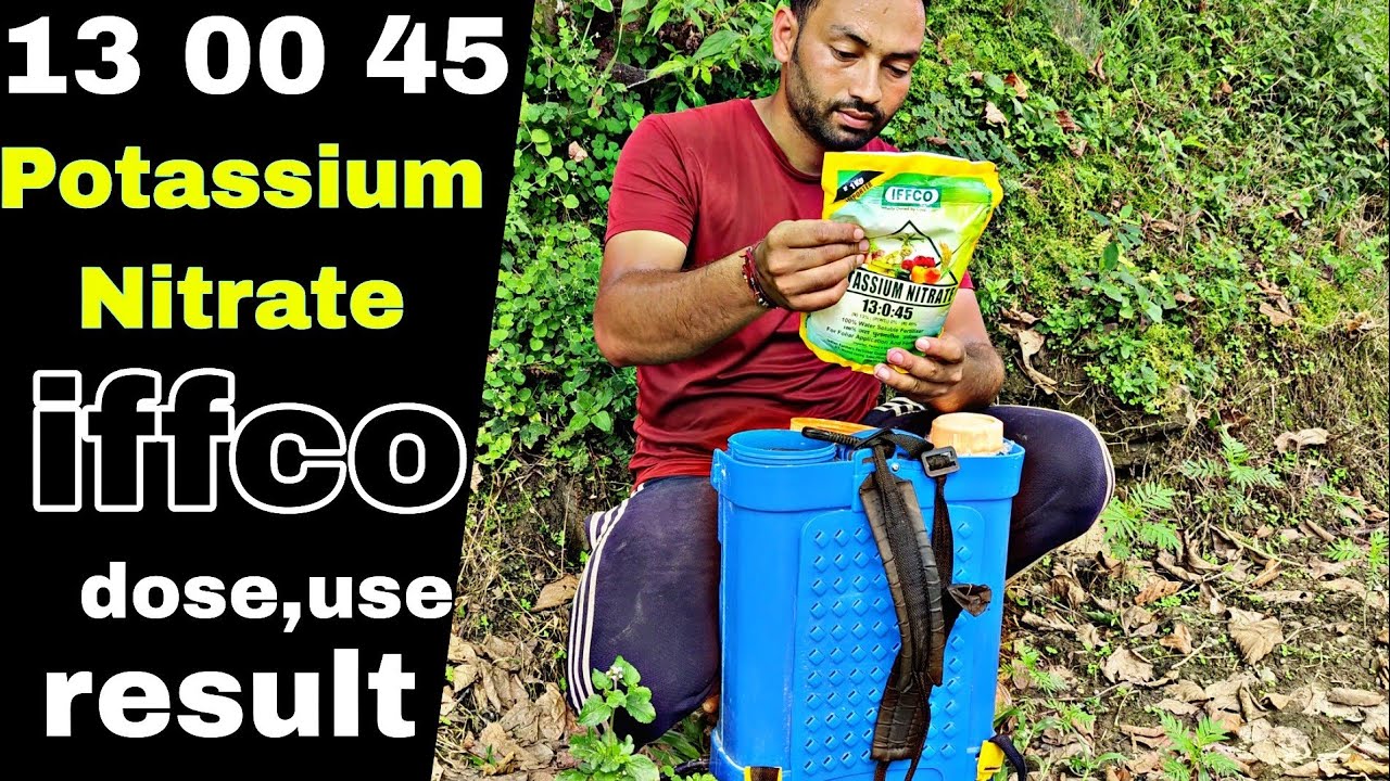 potassium nitrate | 13 0 45 | NPK |iffco fertilizer | Praveen Thakur