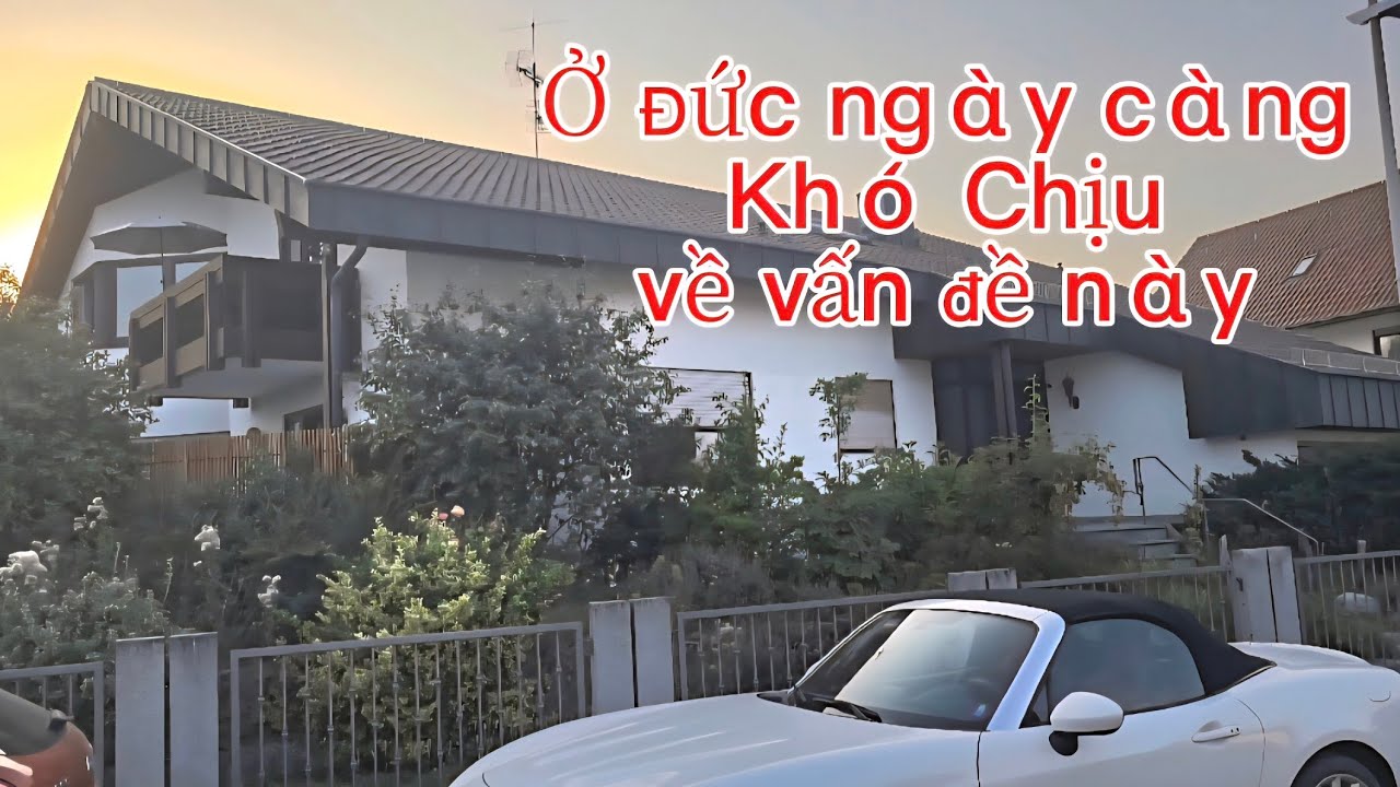 Cuộc sống ở Đức, Tất Cả Mọi Người Đều Rất Thất Vọng Về Vấn Đề Này Ở Đức 