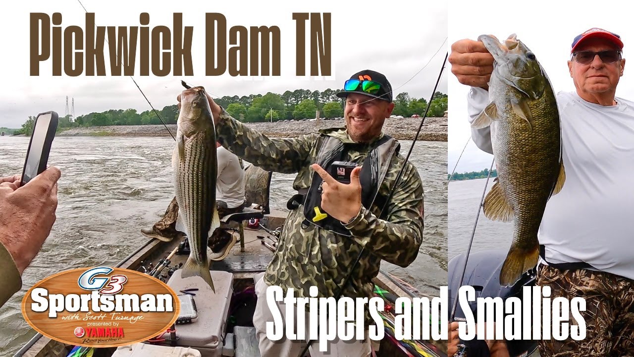 Stripers & Smallies Below Pickwick Dam
