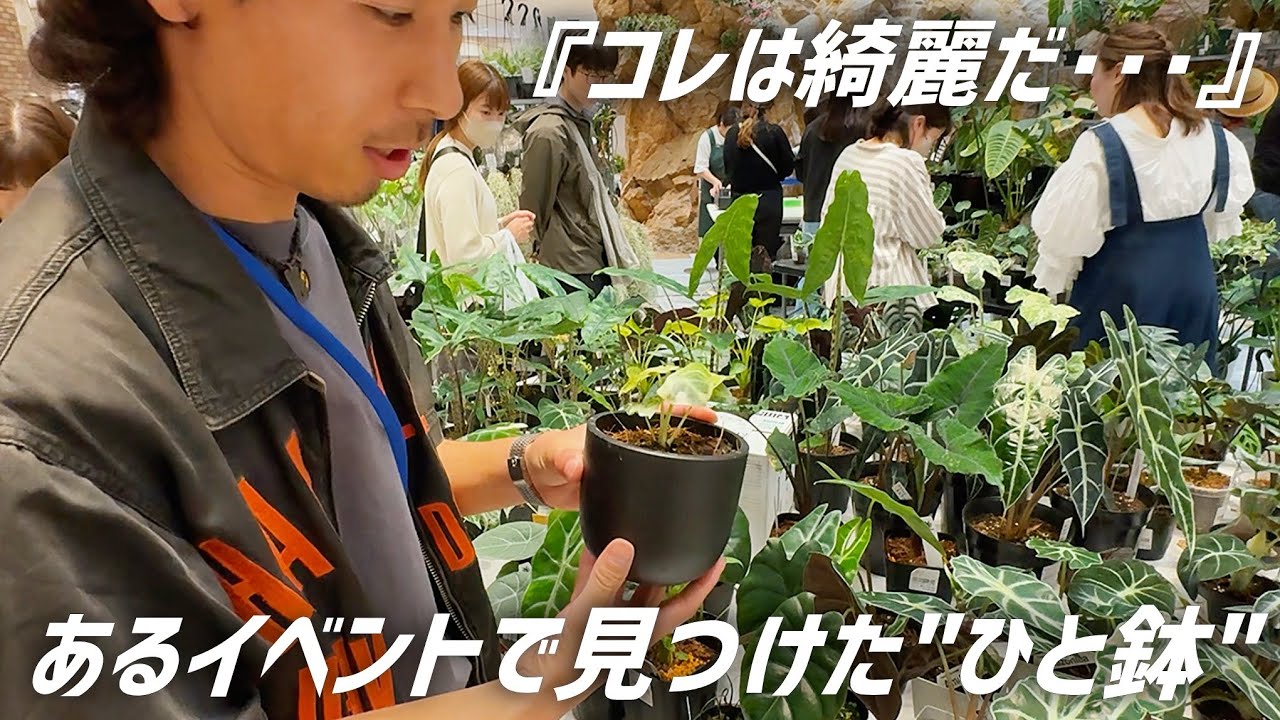 有名YouTuberが集まるイベントで超レアな観葉植物みつけちゃったDay!!