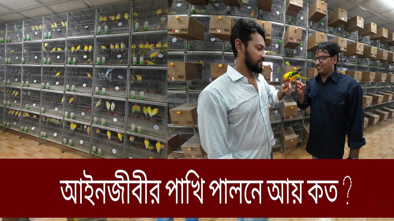 ব্রাহ্মণবাড়িয়া পাখির খামার