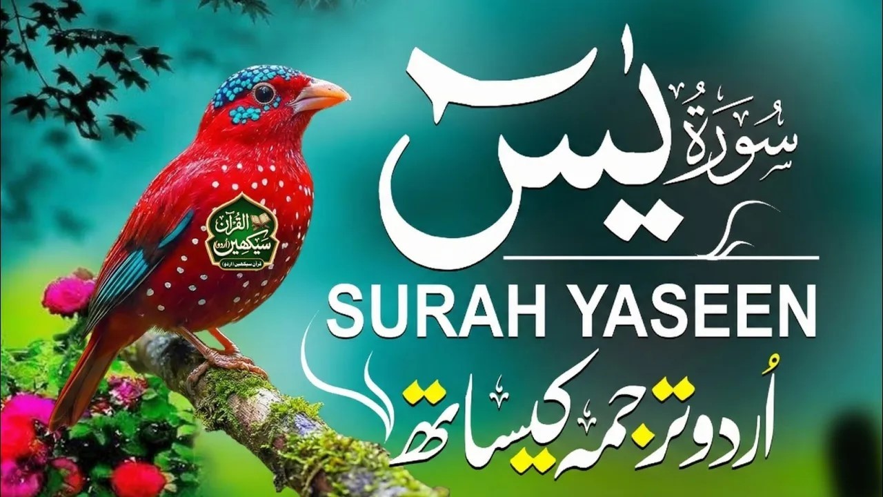 Surah Yasin Full with Urdu Translation | Morning Routine for Barakah | Qari Ismail Noori