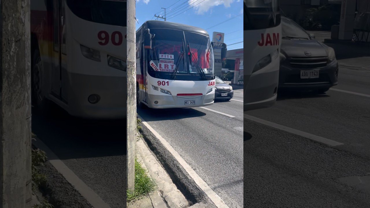 DAEWOO JAM LINER 901 HIGER P&O Transport Corp 55165 DX 163 HYUNDAI DELA ROSA #seanescapade