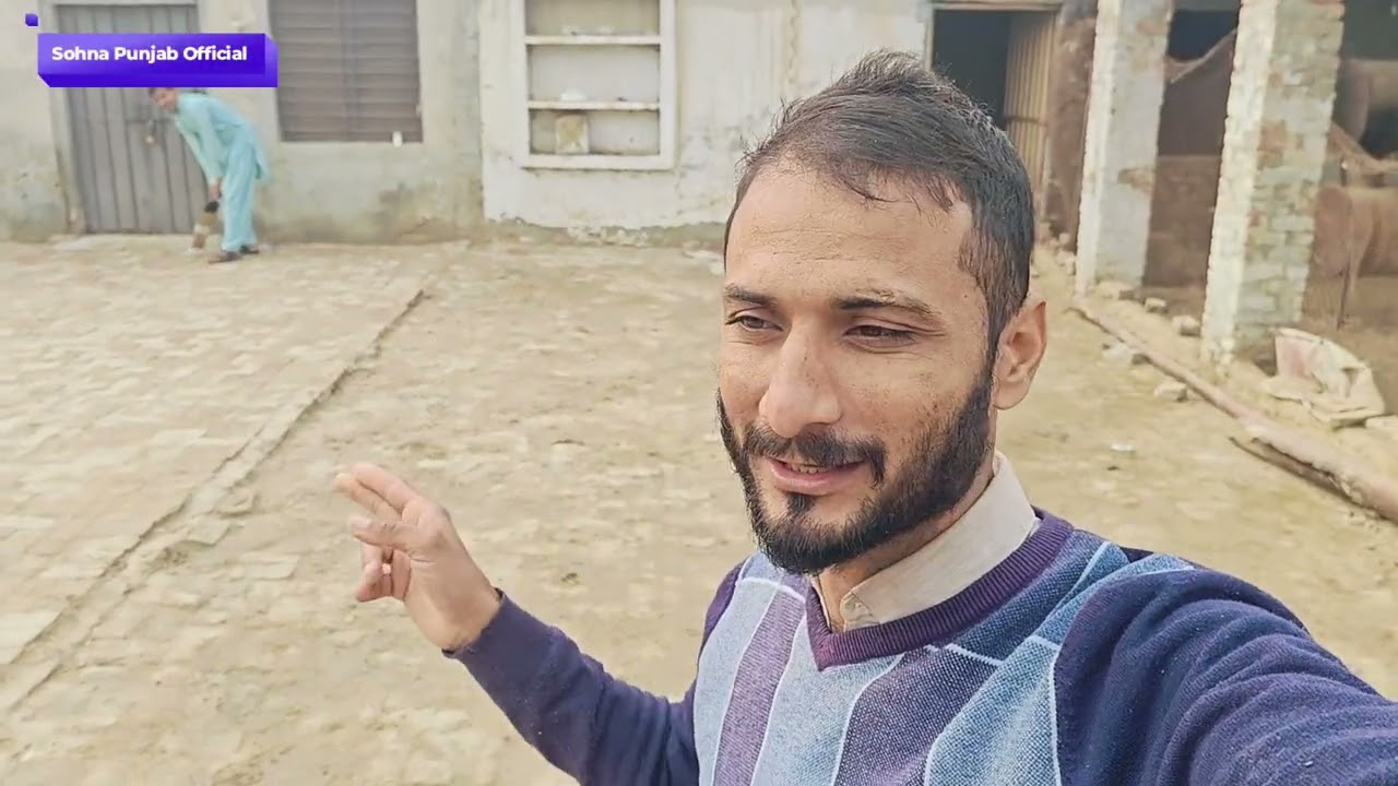 Ali ke sath cricket match ll Sohna Punjab Official ll #pakistan #foryou #subscribe 