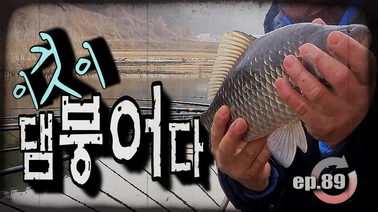 [ep.89] 한겨울 안동댐에서 만난 괴물, 이것이 댐붕어다!!