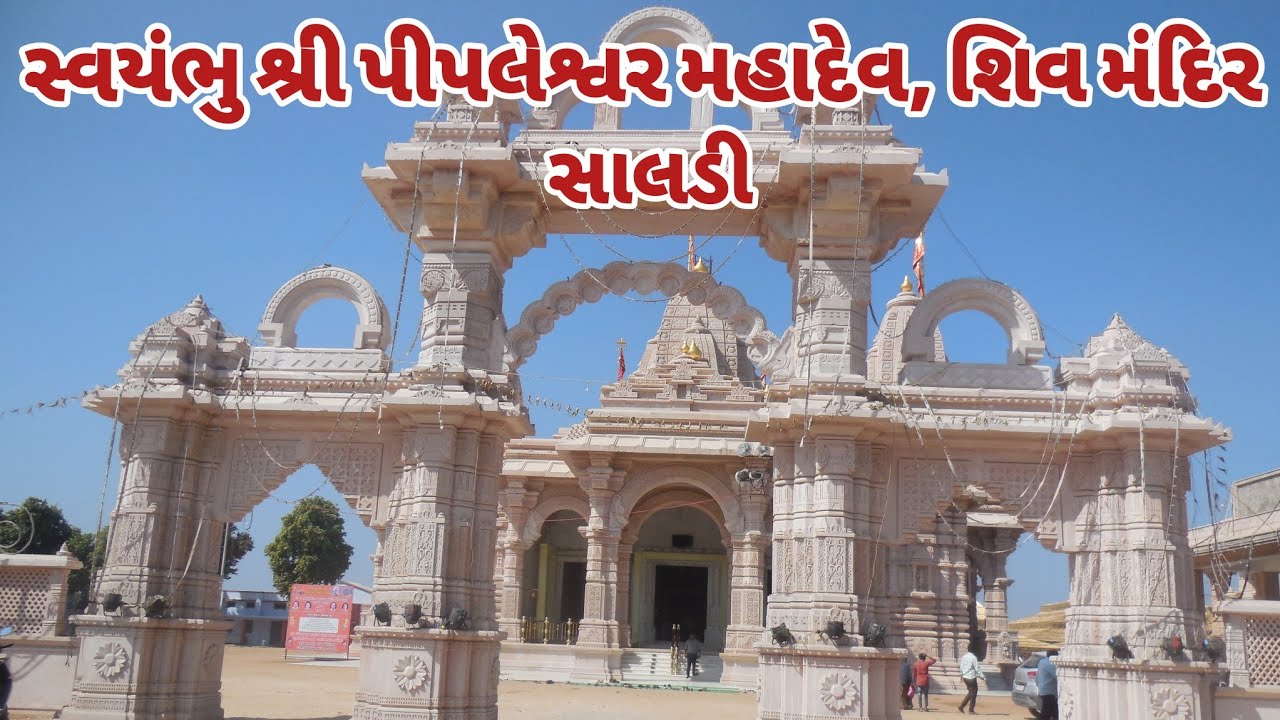 Pipleshwar Mahadev Mandir Saldi | Saladiya mahadev Saldi near Langhanaj | Complete history