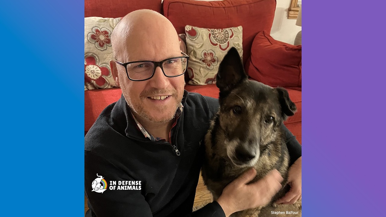 Thriving in a Non Vegan World with Author Stephen Balfour