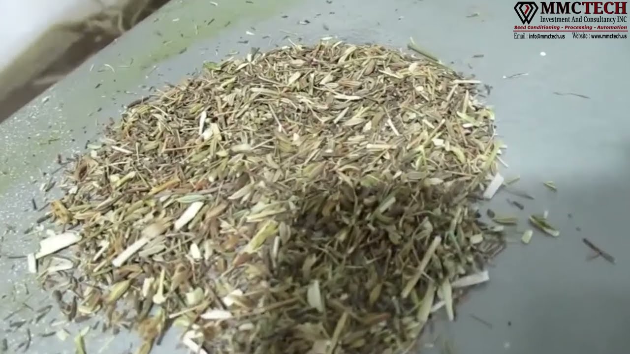 Complete Fennel Seed Processing : From Seed Pre-Cleaning to Vibro Seed Cleaning #seedcleaning