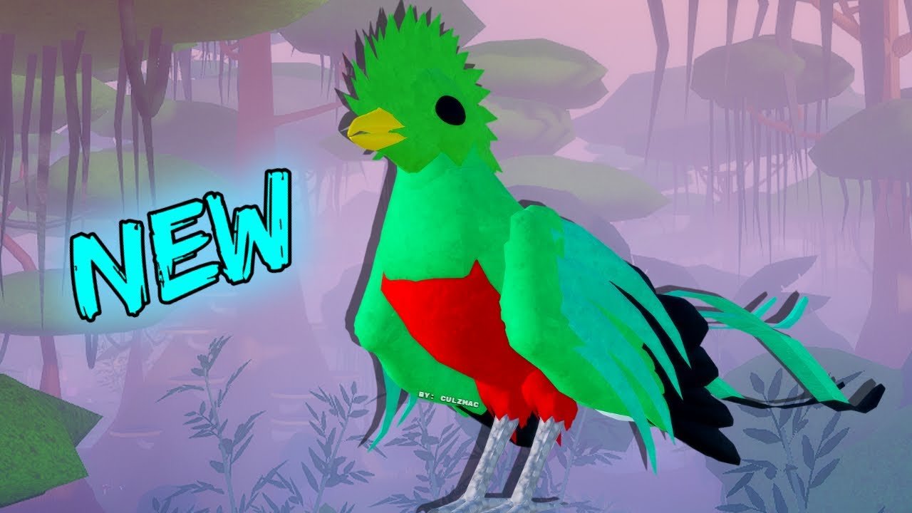 New Quetzal on Feather Family!!!