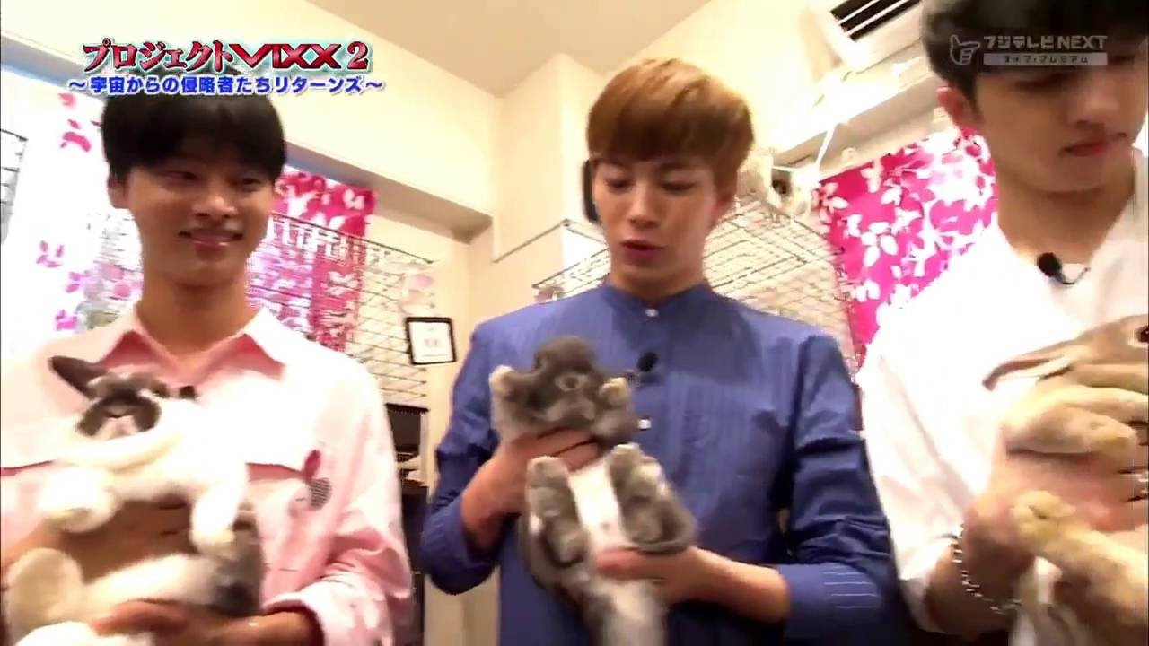 HONGBIN WITH ANIMALS!!! (not for the weak of heart fangirls/fanboys)