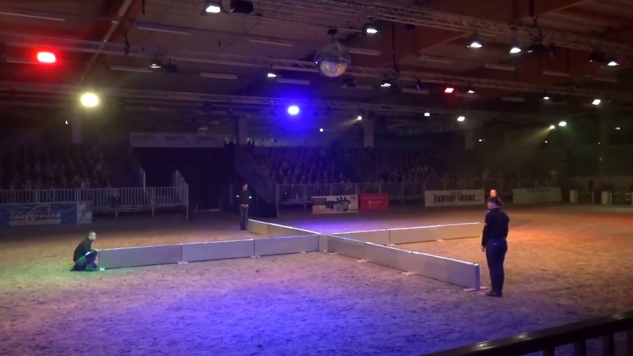 Ponyshowteam Horsica Ghost 18.03.2016 mit Anja und Con Solido
