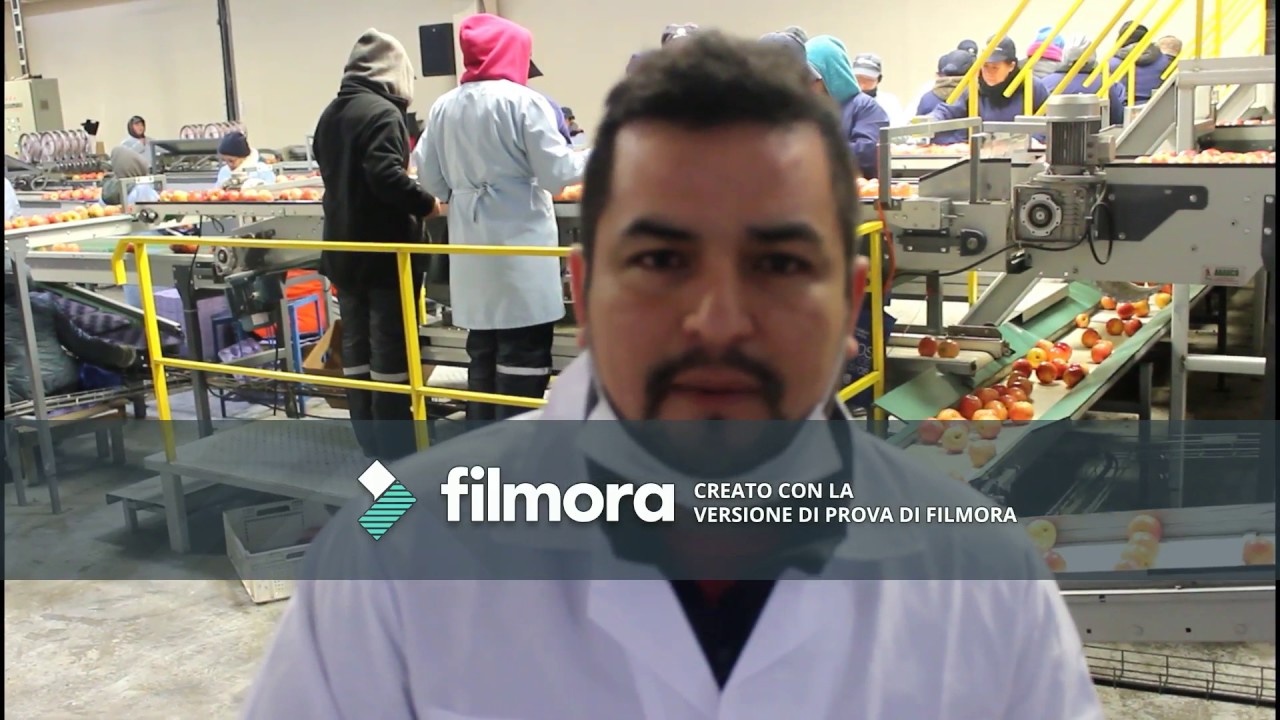 LINEA DE PROCESO MANZANA, DAVID DEL CURTO  CURICO, CHILE
