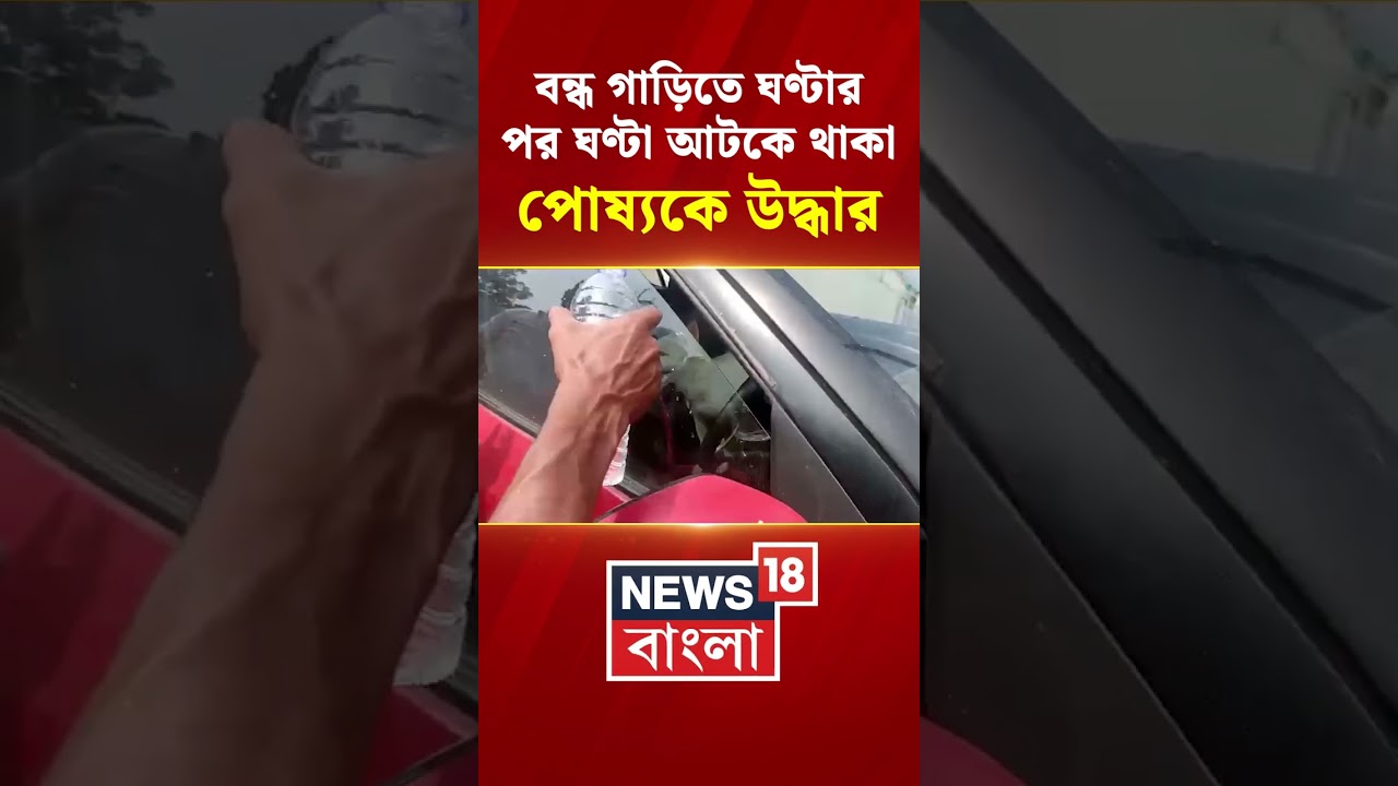 Assam এ বন্ধ গাড়িতে ঘণ্টার পর ঘণ্টা আটকে থাকা পোষ্যকে উদ্ধার #shorts