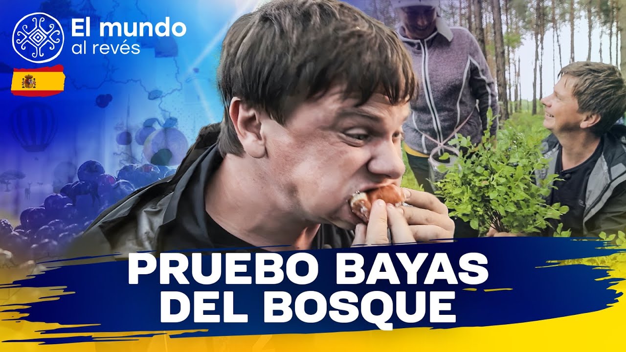 ¿De dónde vienen las rosquillas en los lagos Shatsky? | Viajad por Ucrania | EPISODIO 7