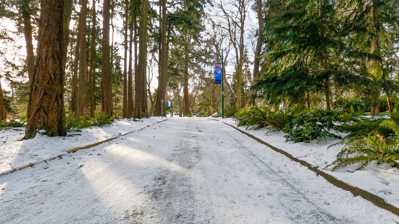 Snow Bike Ride - Downtown Victoria to Beacon Hill Park  (Victoria, BC - December 2021)
