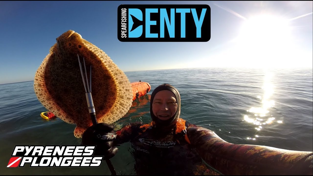 Turbo de Noël en Chasse sous-marine.