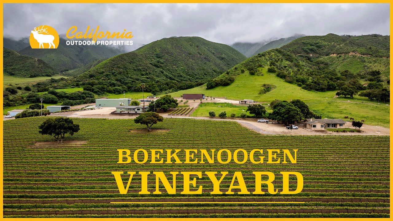 Boekenoogen Santa Lucia Highlands Vineyard | Monterey County, CA