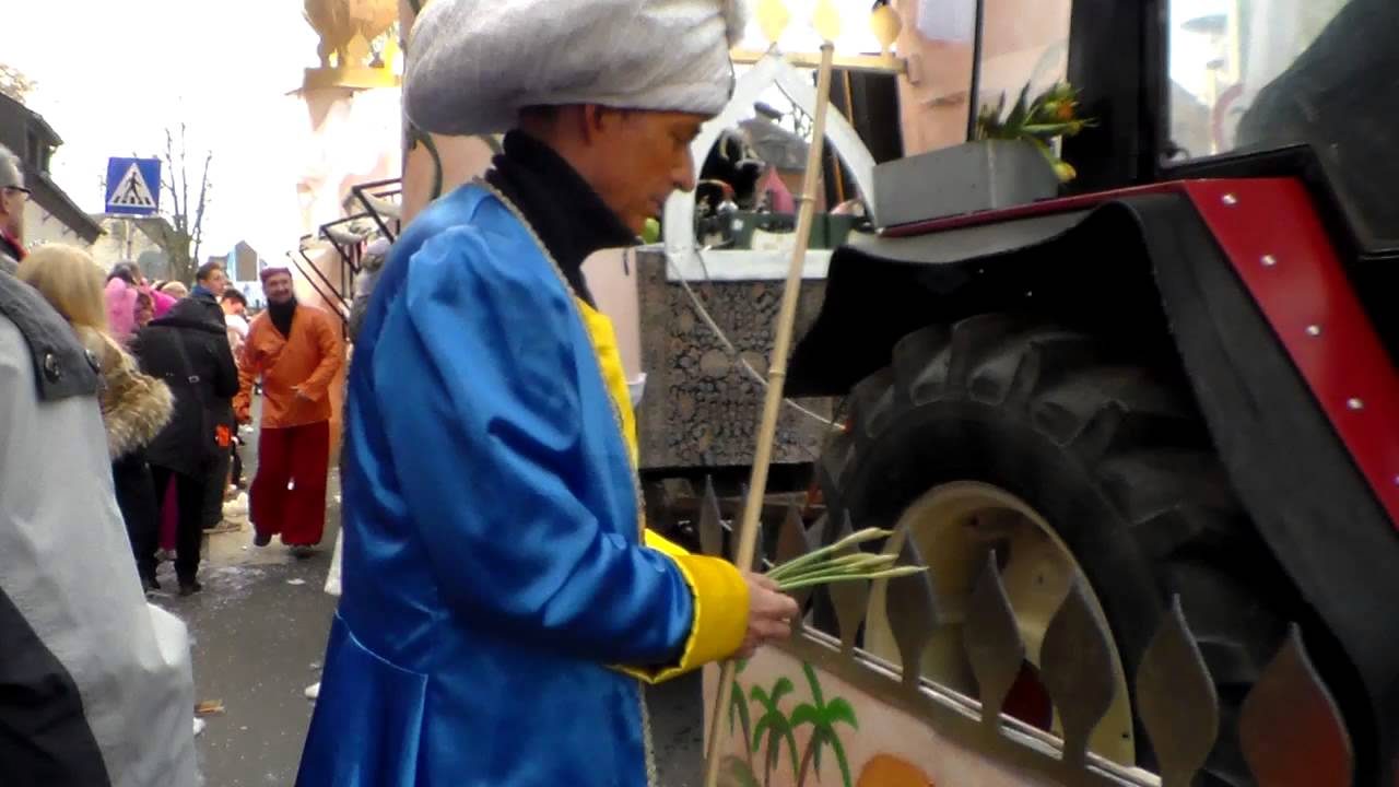KARNEVALSUMZUG 2014 aus Hemmerden [#3]