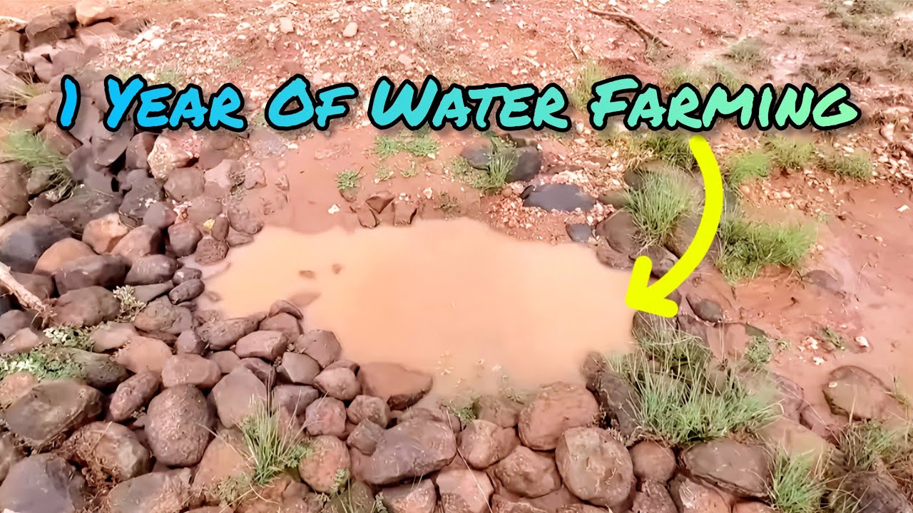 The High Impact Of Desert Rainwater Harvesting Examples & Results 
