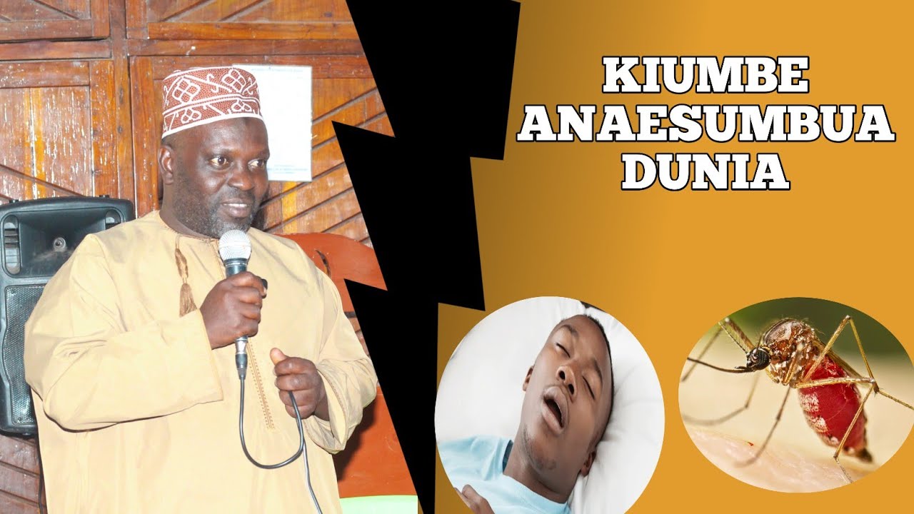 MUNGU KATOLEA MFANO KIUMBE MDOGO SANA.. MBU PAMOJA NA UDOGO WAKE HADI LEO BINAADAM ANATAABIKA NAE