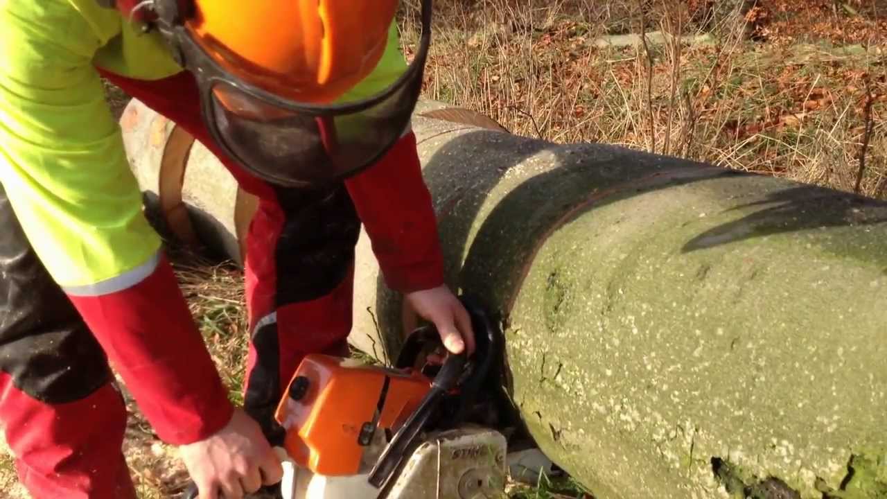 Stihl Ms 460 Schnittest Buche