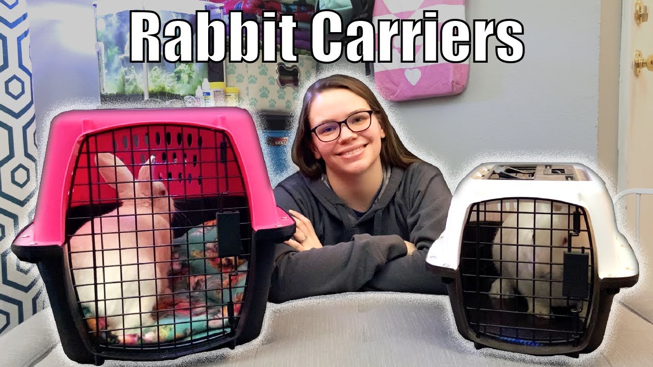 RABBIT CARRIERS: Everything You Need to Know About Rabbit Carriers