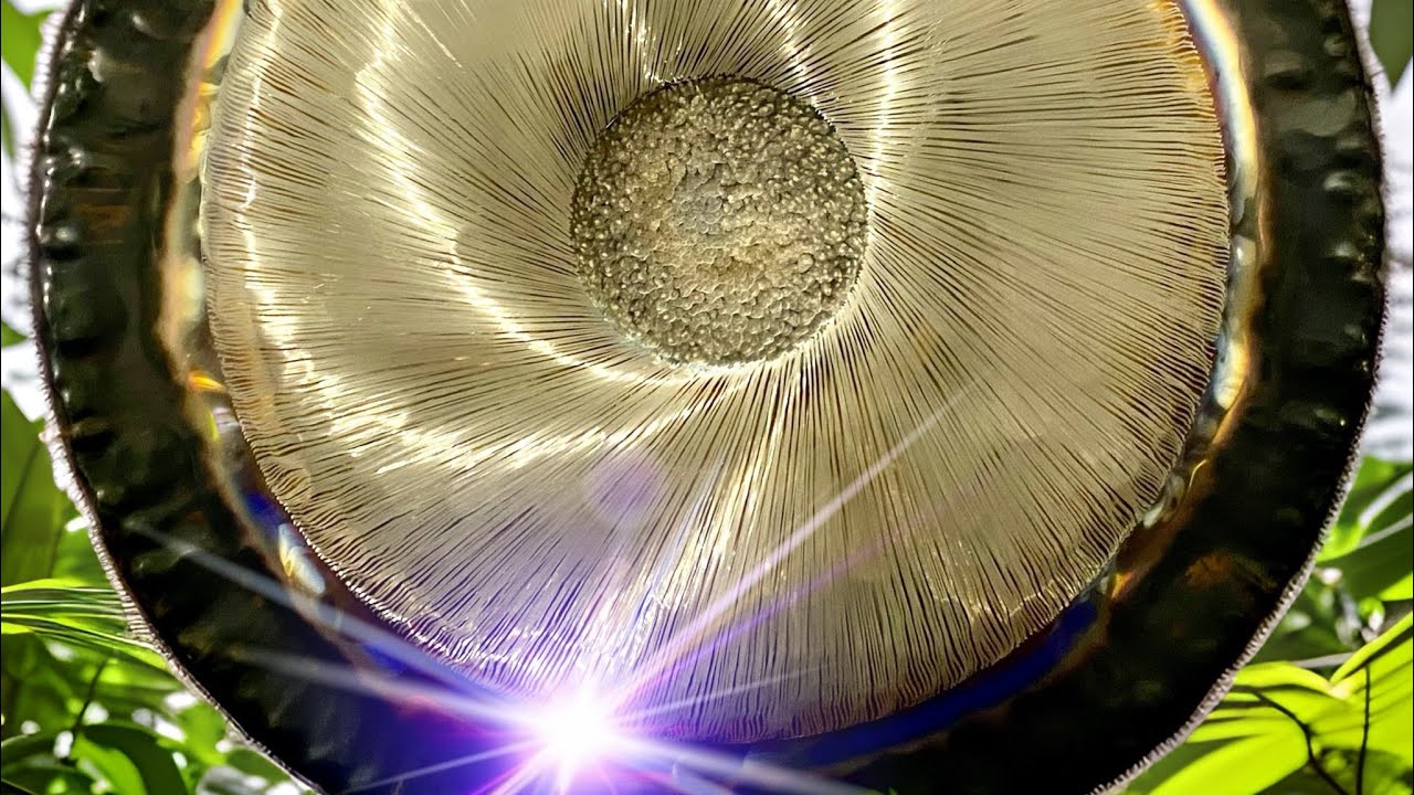 36“ Gongland GRAVITY Gong (🎧) – sound sample/short meditation; Gong Space Mallorca by Matthias Dahms