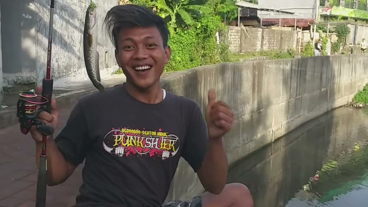 casting gabus  disungai ini selalu ada sambaran