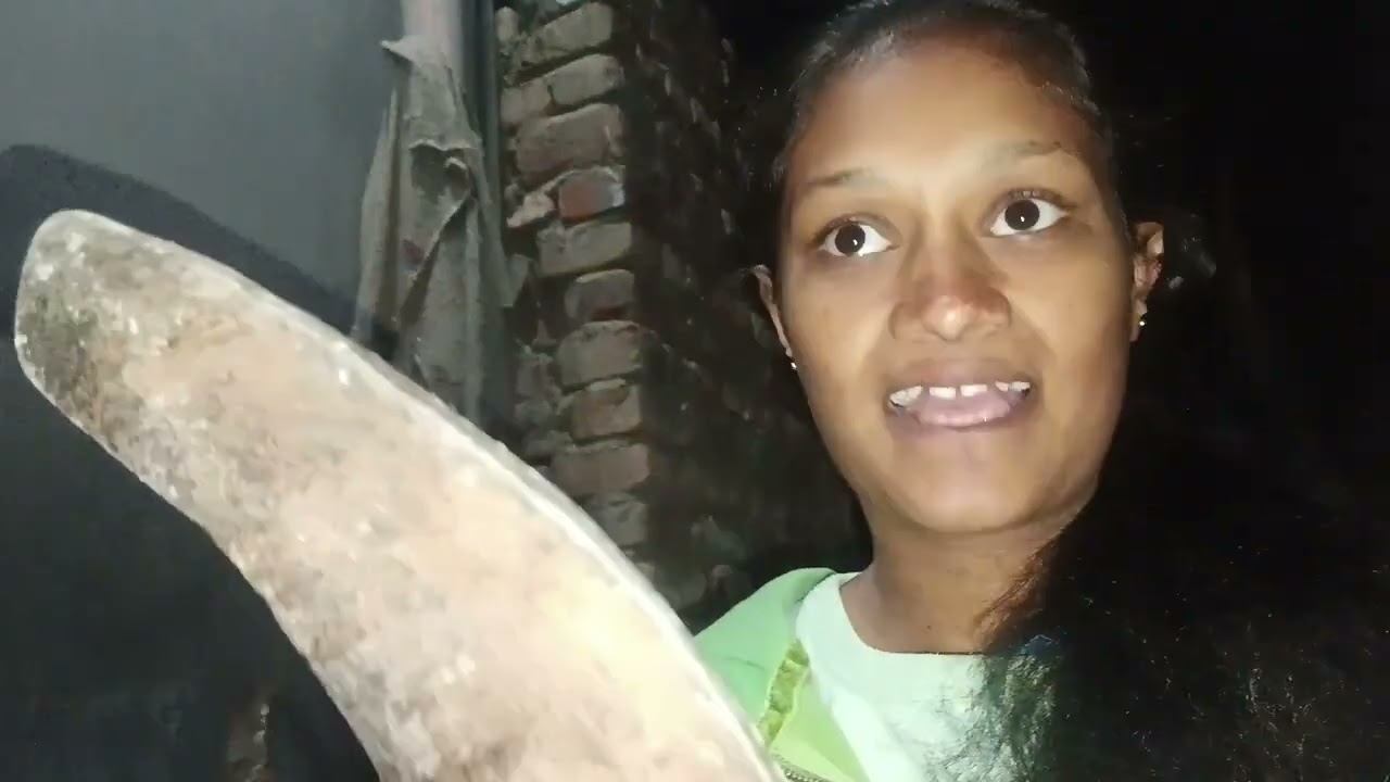 Ghar mein family vlog 