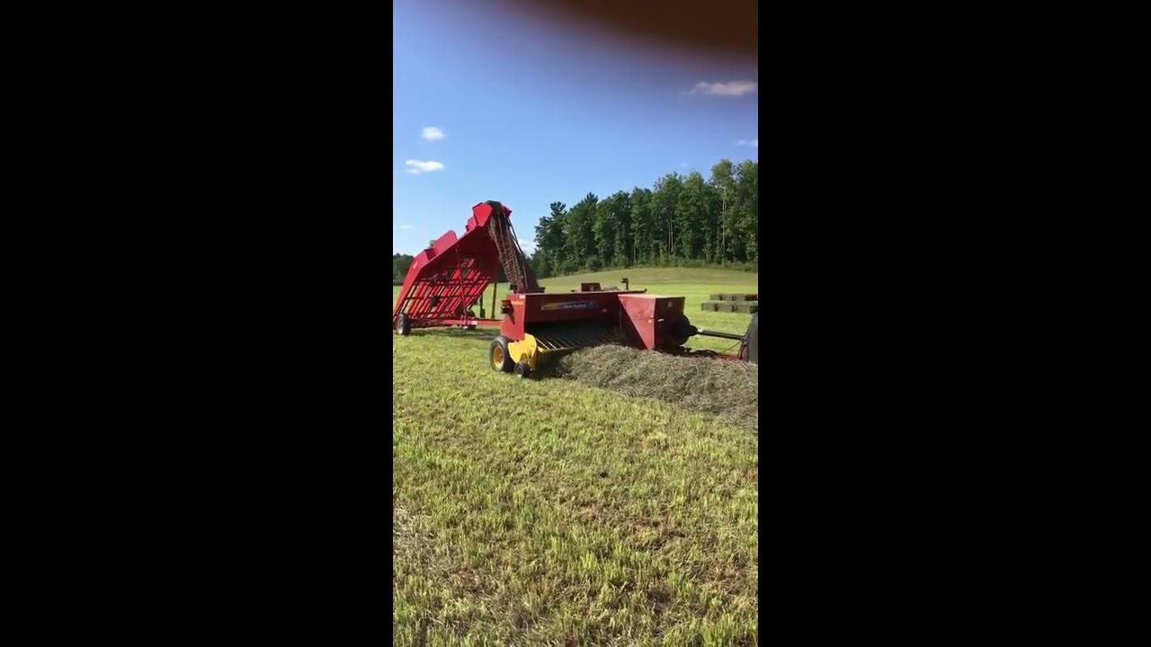 Feeding the New Holland Hayliner Baler and Kuhns Accumulator